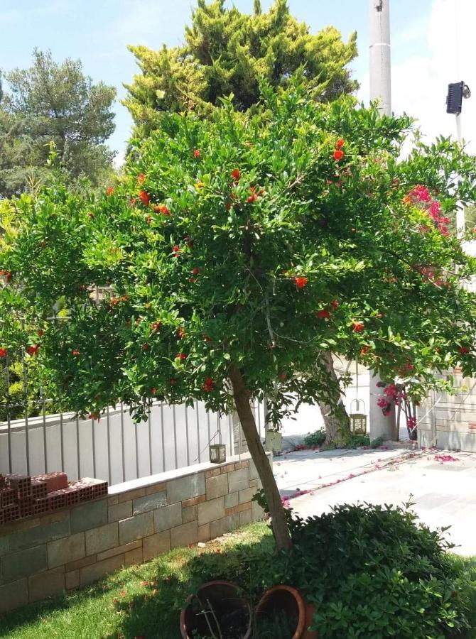 Fantastic Villa, A 5 Minute Drive From The Beach! Athènes Extérieur photo
