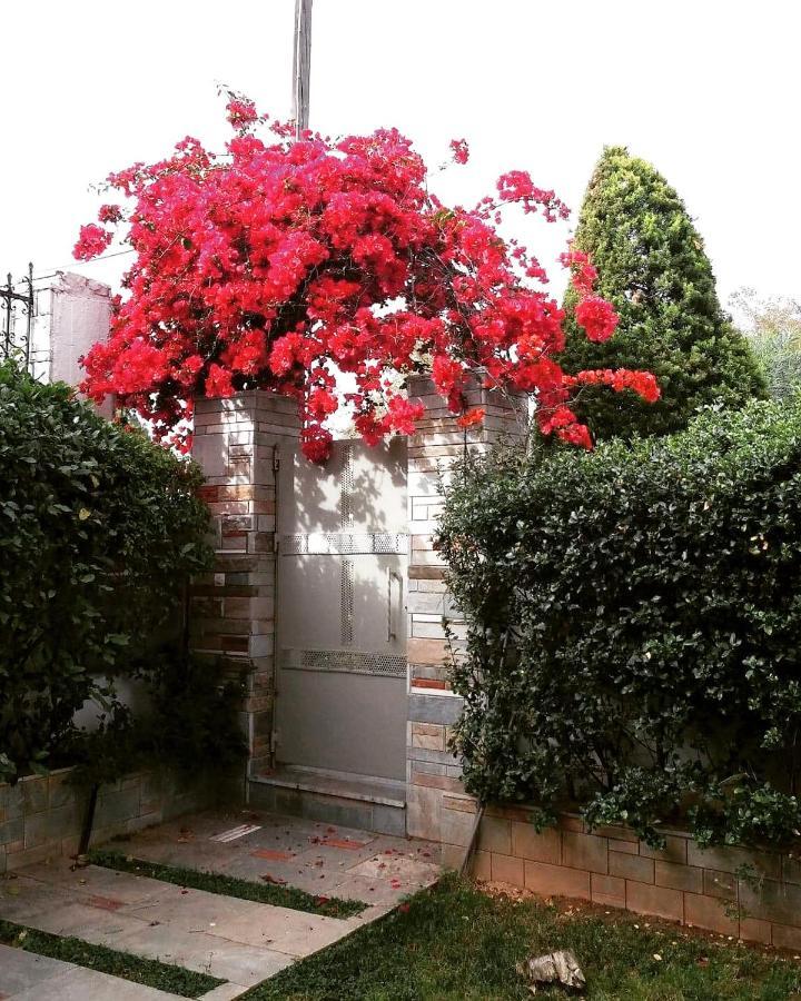 Fantastic Villa, A 5 Minute Drive From The Beach! Athènes Extérieur photo
